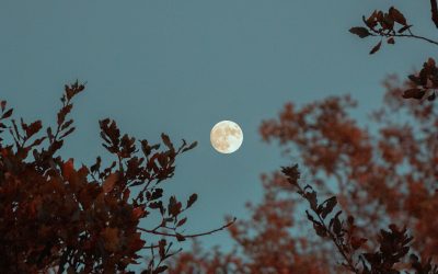 Lua: tudo o que você precisa saber sobre a influência deste satélite natural